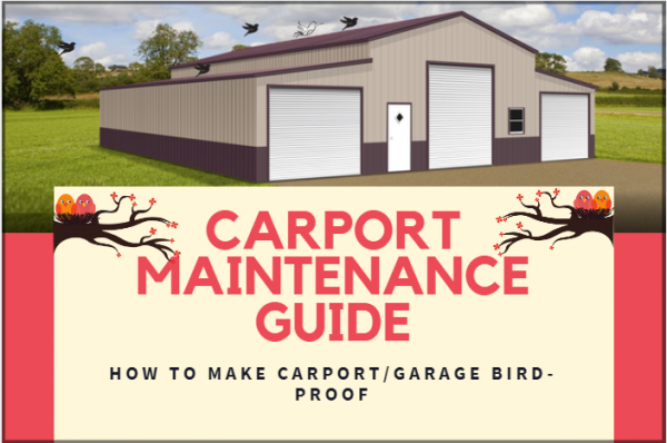 Carport Maintenance Guide: How To Make Carport/Garage Bird-Proof