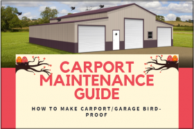 Carport Maintenance Guide: How To Make Carport/Garage Bird-Proof
