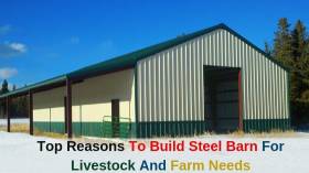 Top Reasons To Build Steel Barn For Livestock And Farm Needs