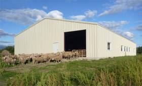 Agricultural Metal Buildings: What Are Their Benefits For Farmers